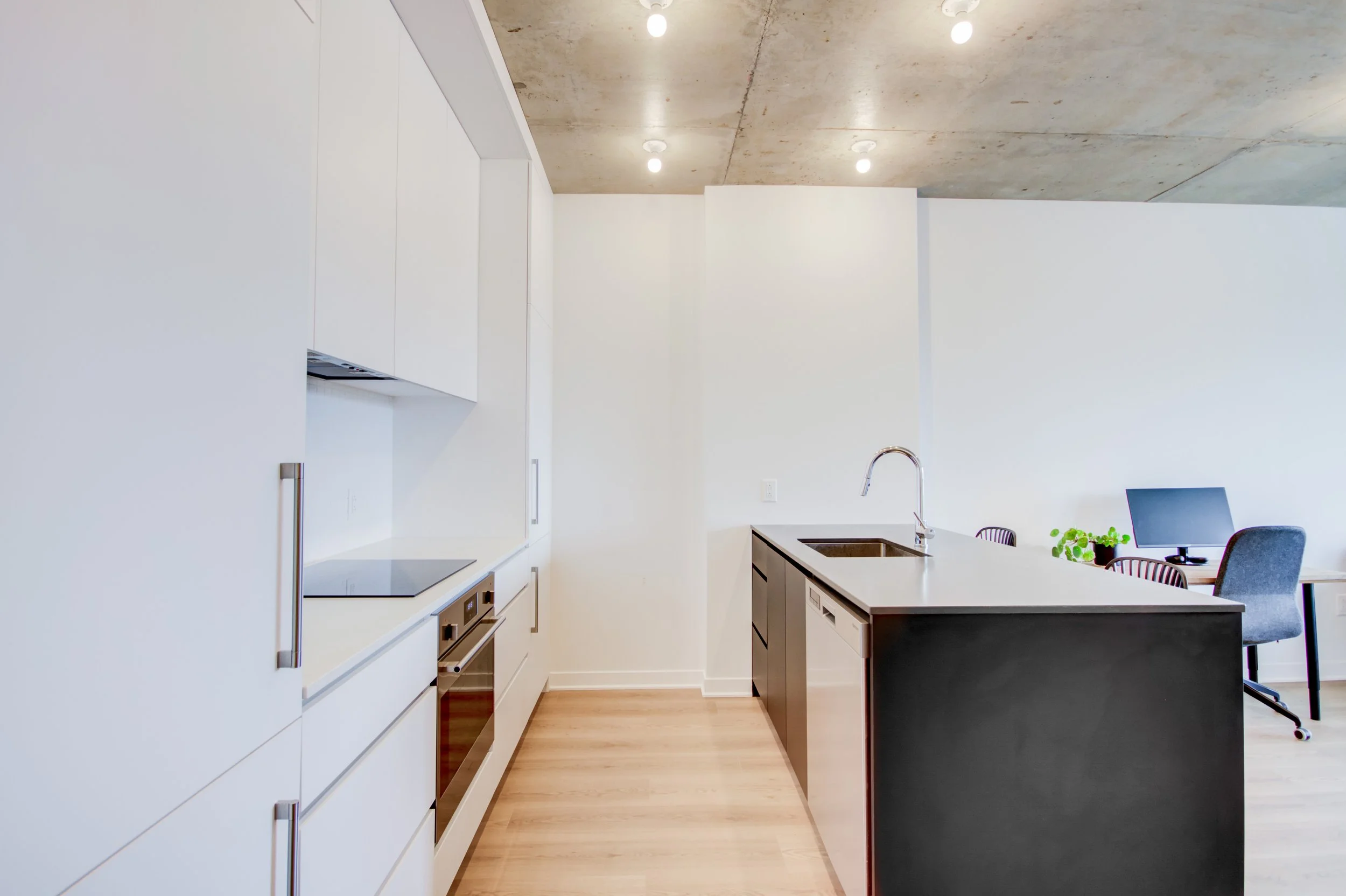 LOGES-03.jpg