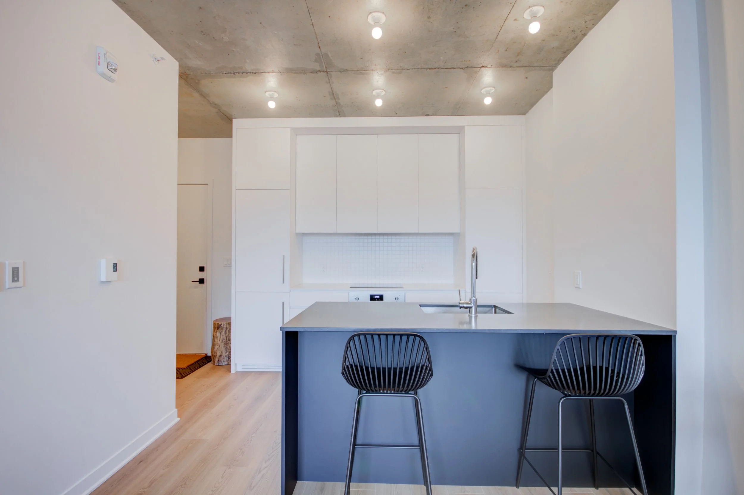 3045, boulevard de l'Assomption, app. 608, Montréal (Mercier/Hochelaga-Maisonneuve)