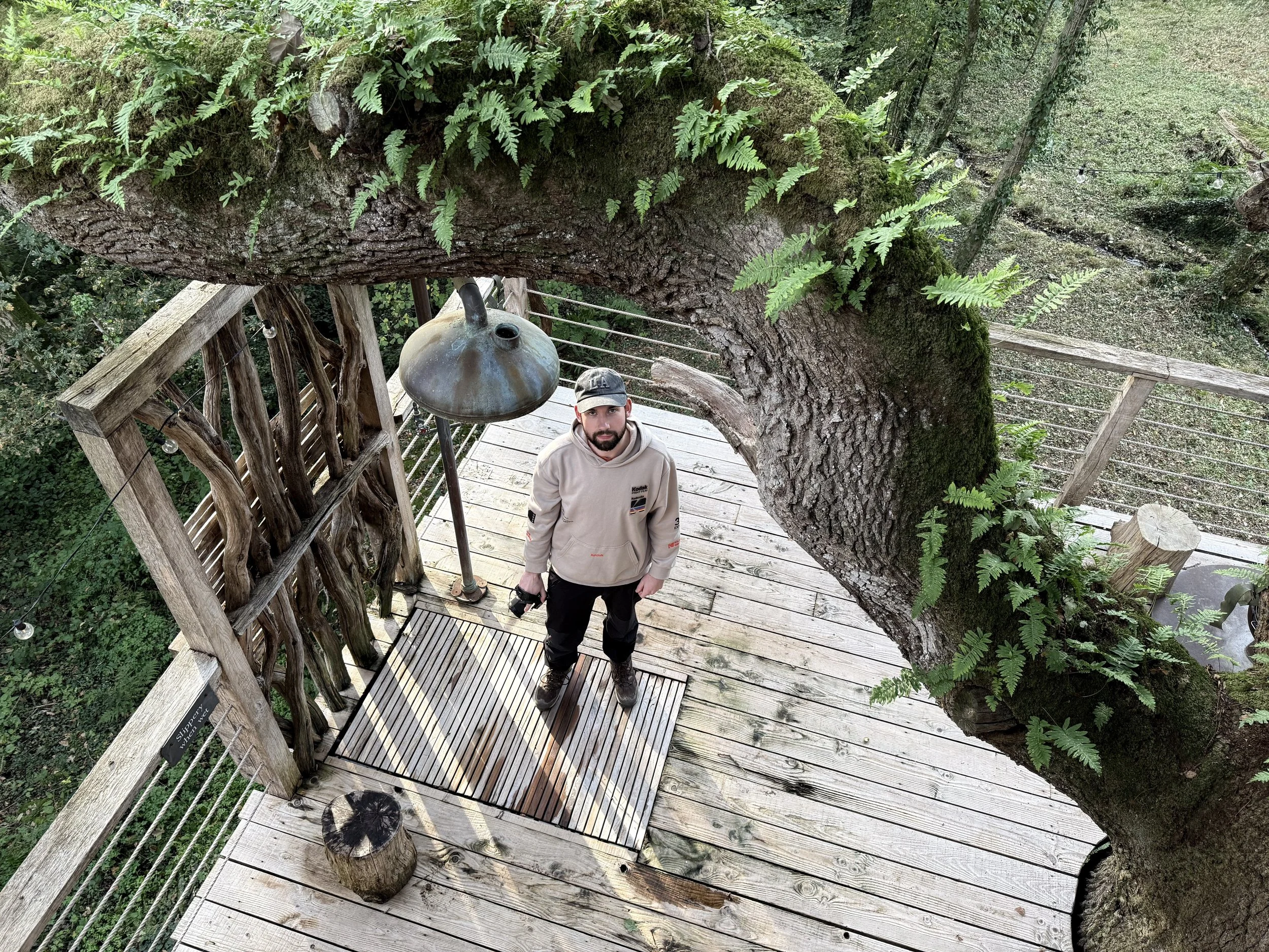 A man in a beige hoodie standing on a wooden platform surrounded by trees and green foliage, with a large tree trunk overhead and string lights hanging in the background.