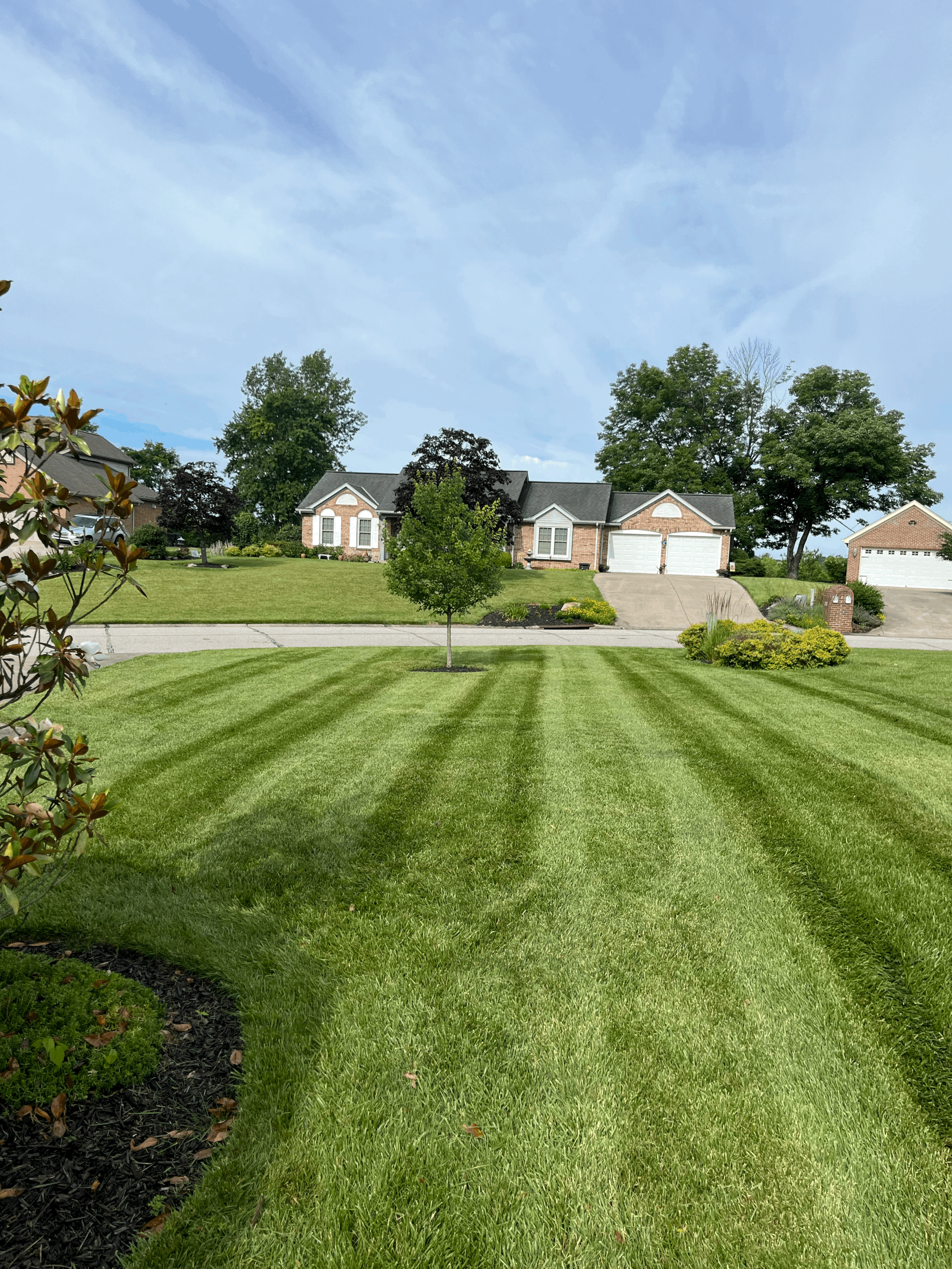 Lawn Fertilization & Aeration
