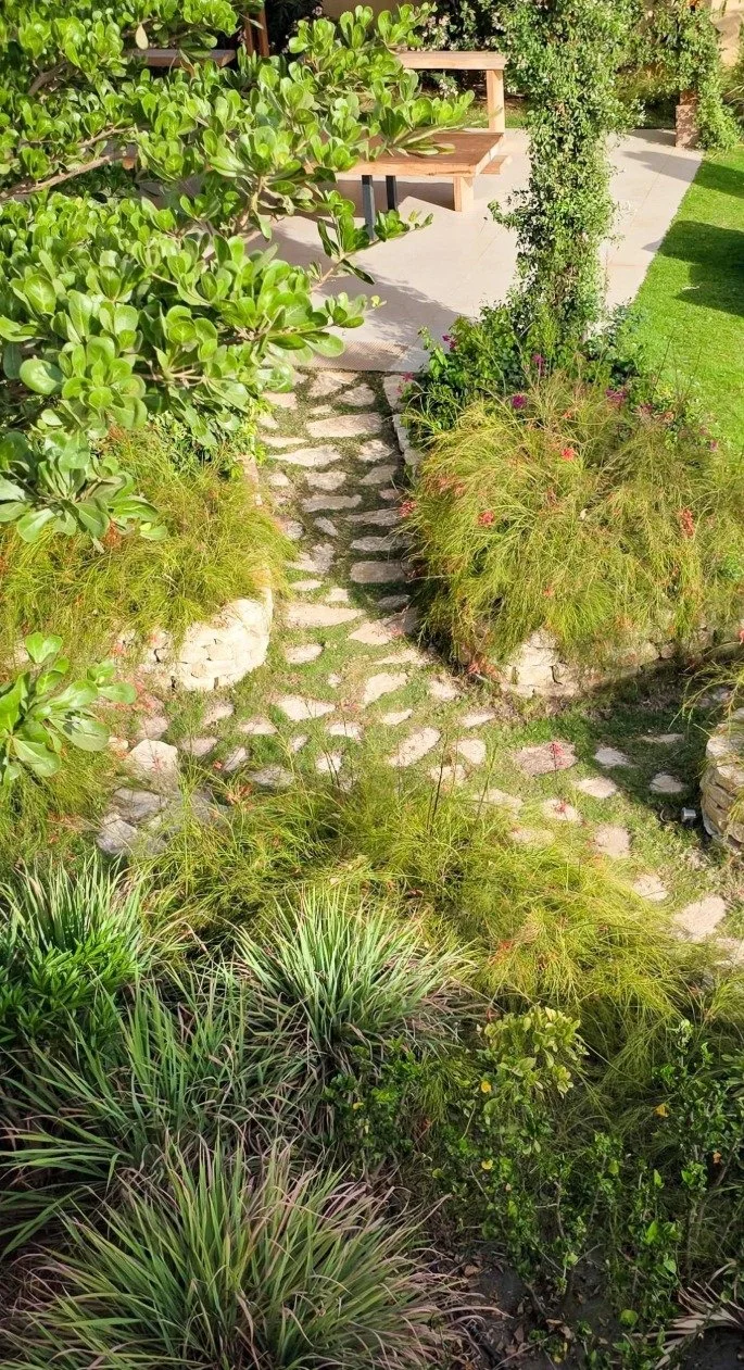 A garden pathway with stone paving, surrounded by lush green plants and shrubs, with seating area and patio in the background.