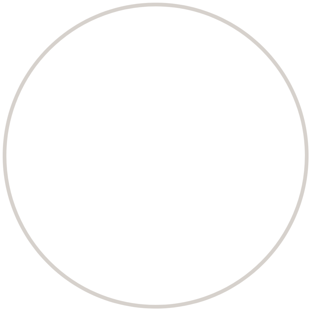 A large, black circle with a silver border on a black background.