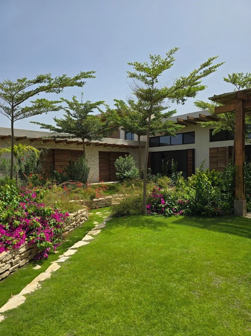 A landscaped garden with a stone pathway, green grass, flowering bushes, and trees in front of modern houses under a clear blue sky.