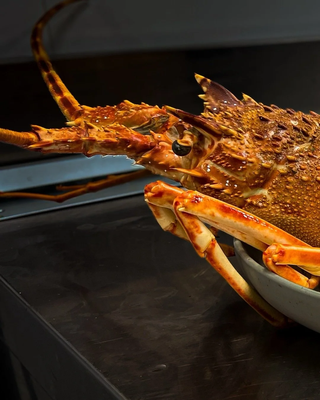 🦞Nuestro linguine con langosta es la definici&oacute;n perfecta de nuestra cocina: elegancia en el plato y sabor inconfundible. Una experiencia imprescindible en su pr&oacute;xima visita.

🗓️RESERVA TU MESA EN LA BIO 
📍Camino de los Afligidos 55, 