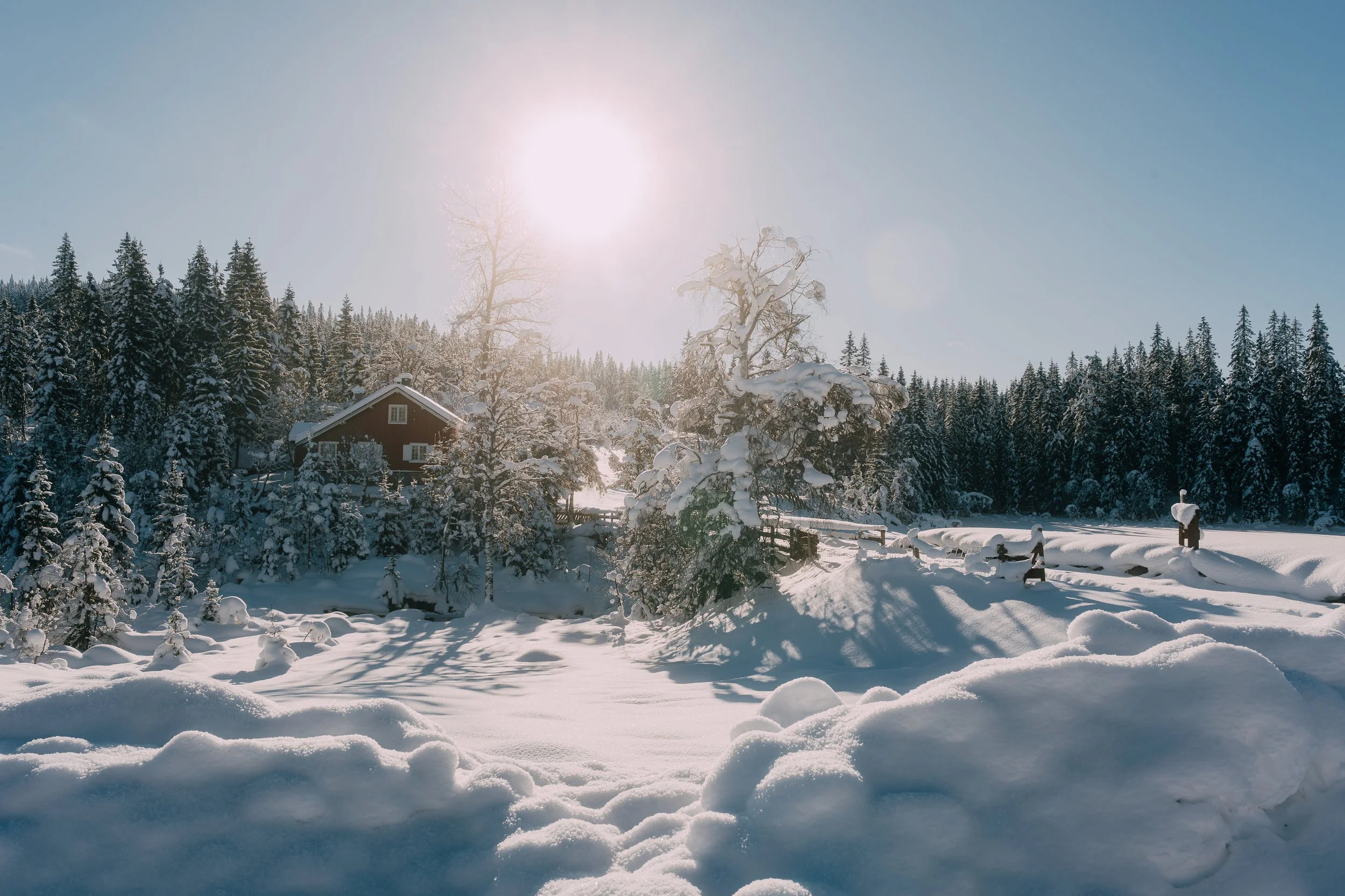 Snødekt norsk vinterlandskap badet i mykt morgenlys