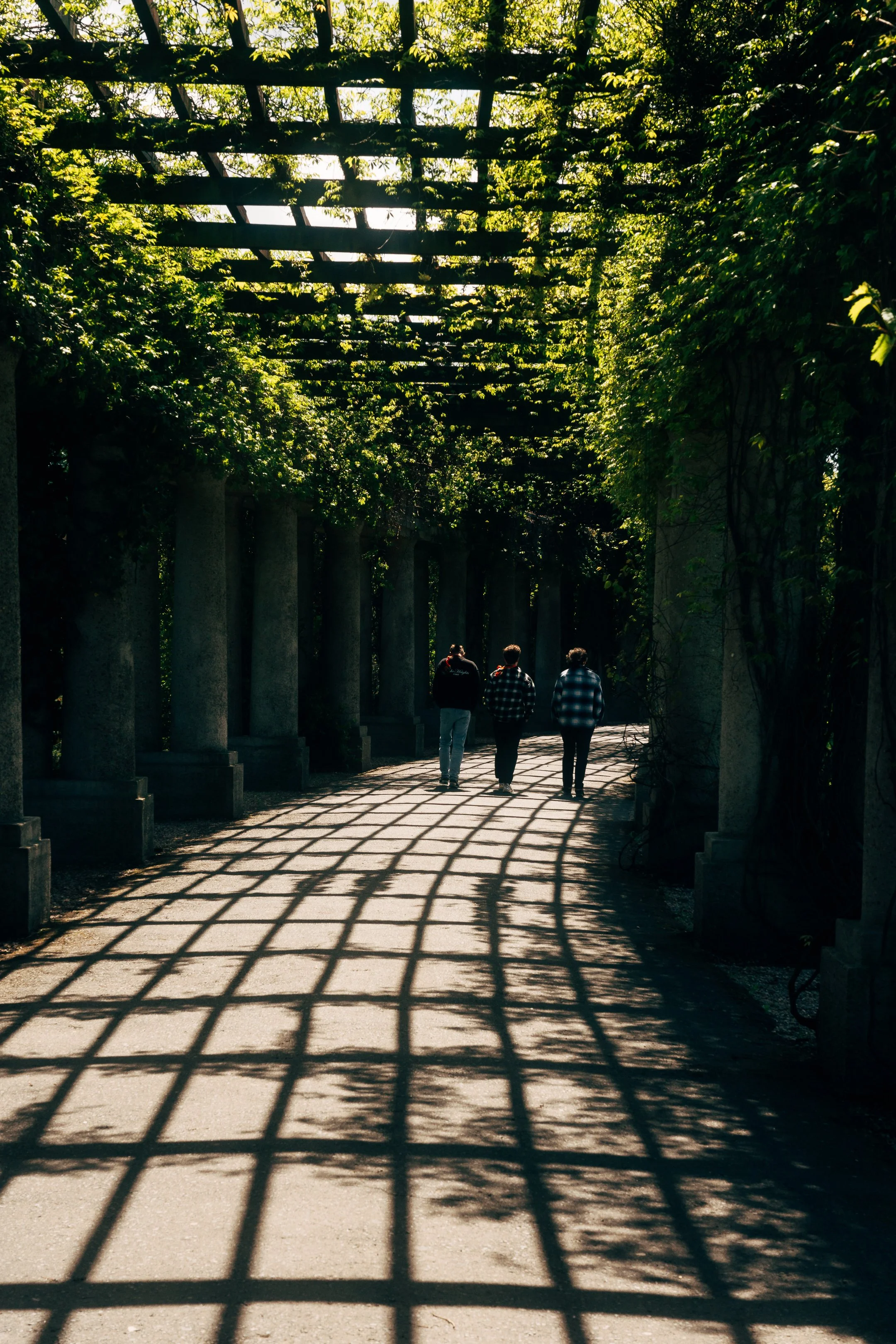 Tre personer går under en pergola dekket med grønt løv på en solrik dag.