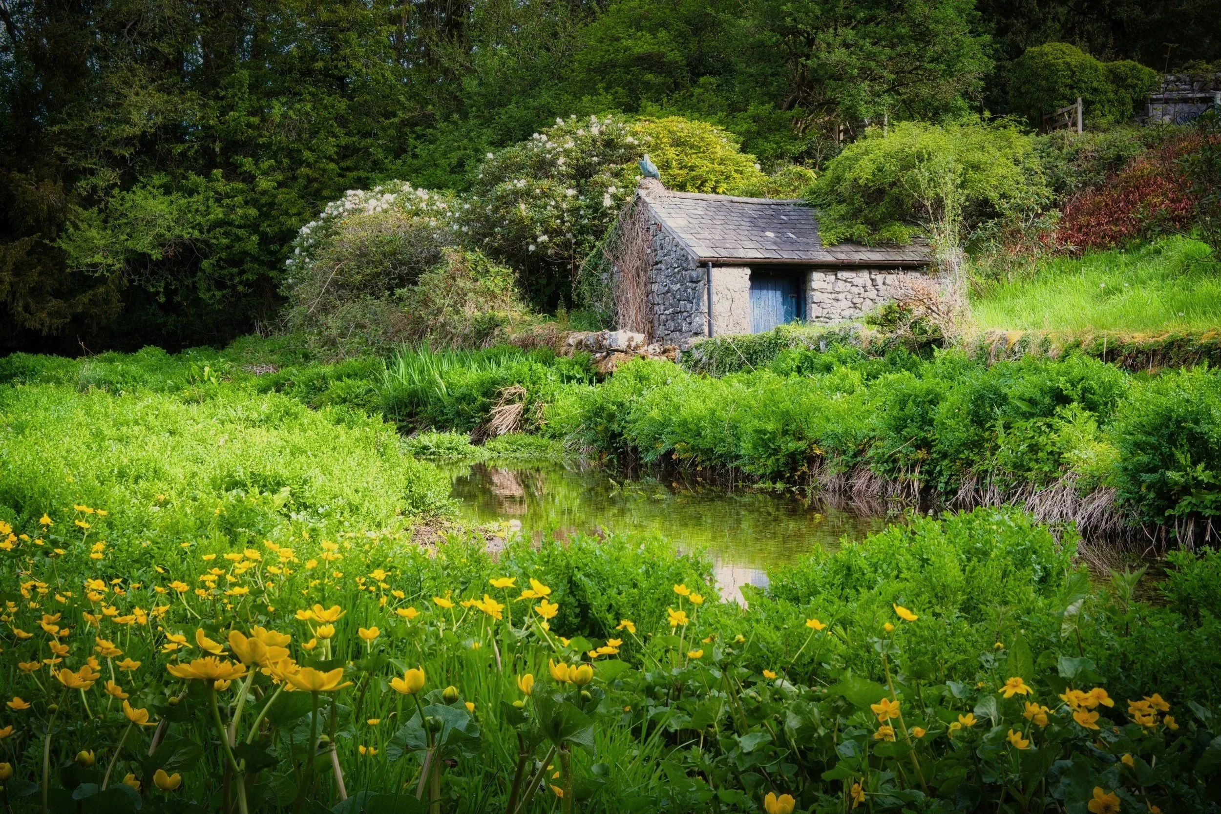 "Beck Head" A small stone refuge overlooks the start of the babbling waters of the nearby Beck. Surrounded by lush green trees and pollen laden buttercups with their bumbling nectar collectors, this beautiful place evokes the pure essence of peace an