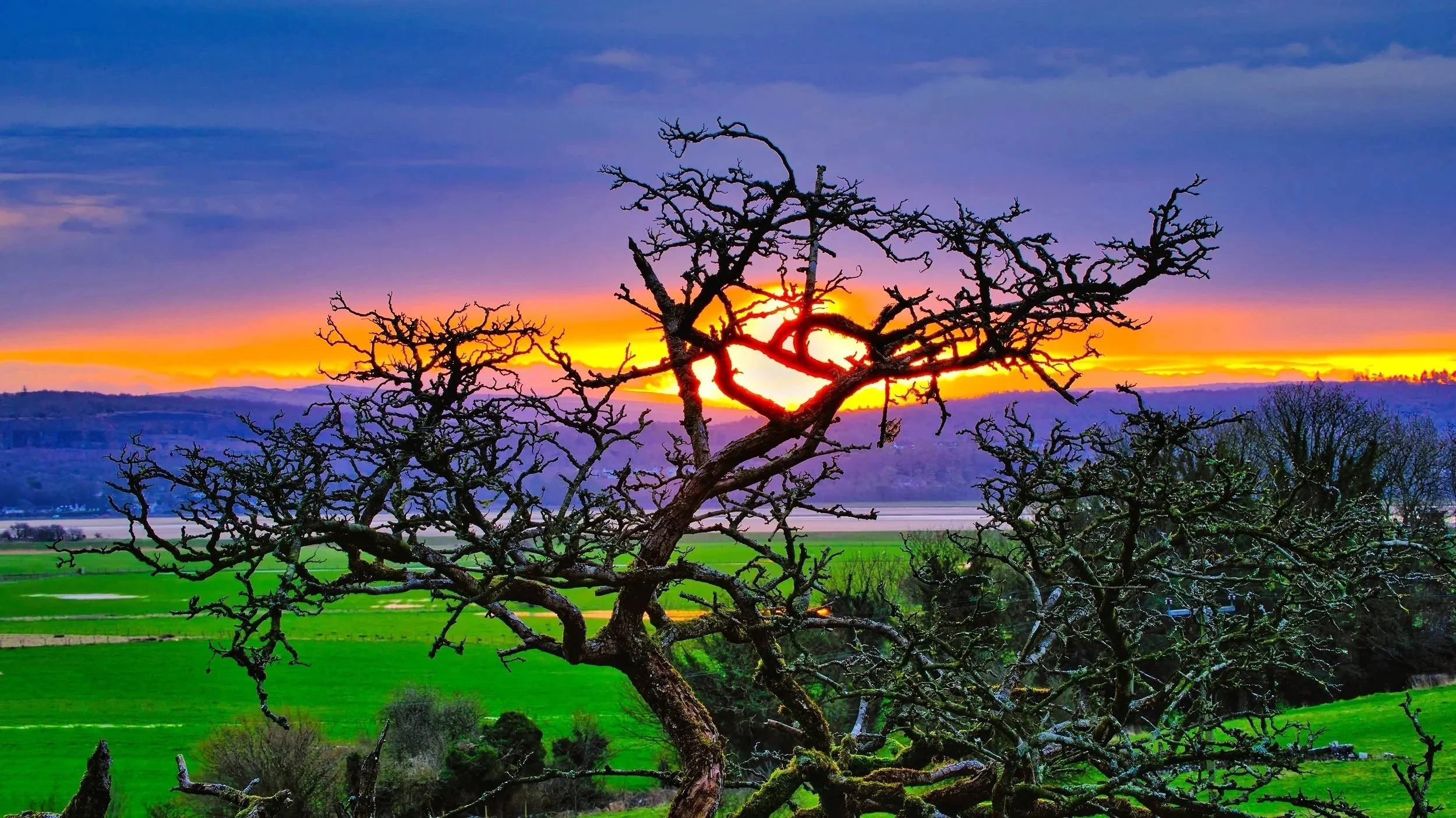 “Spider Tree” A Golden sunrise over Arnside Knott in the Lake District, silhouette's the Spidery Tree and the distant hill tops. Available for Purchase