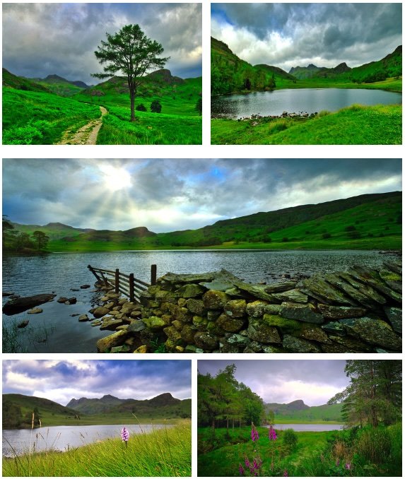 Untitled copy.jpg (Copy) (Copy) (Copy)