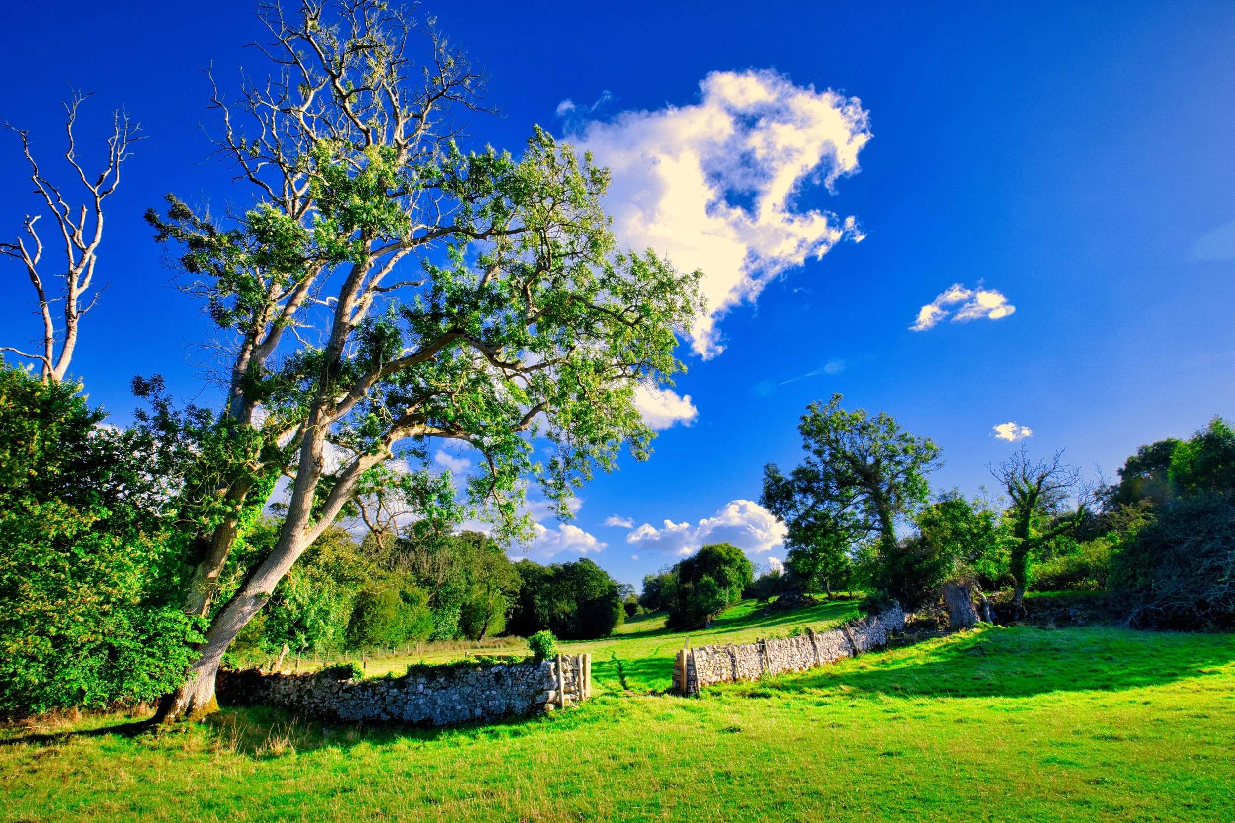 The open gate provide an invitation to enter the Sheep Meadow, high contrast landscape, blue sky with cumulus nimbus clouds