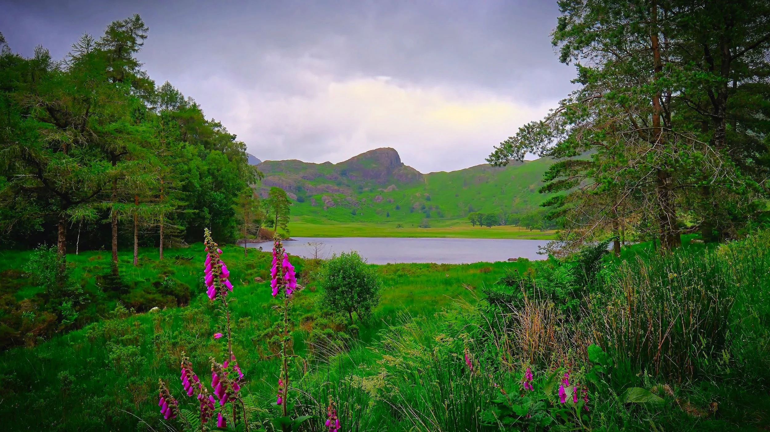 DSCF4055+Low+Res.jpg
