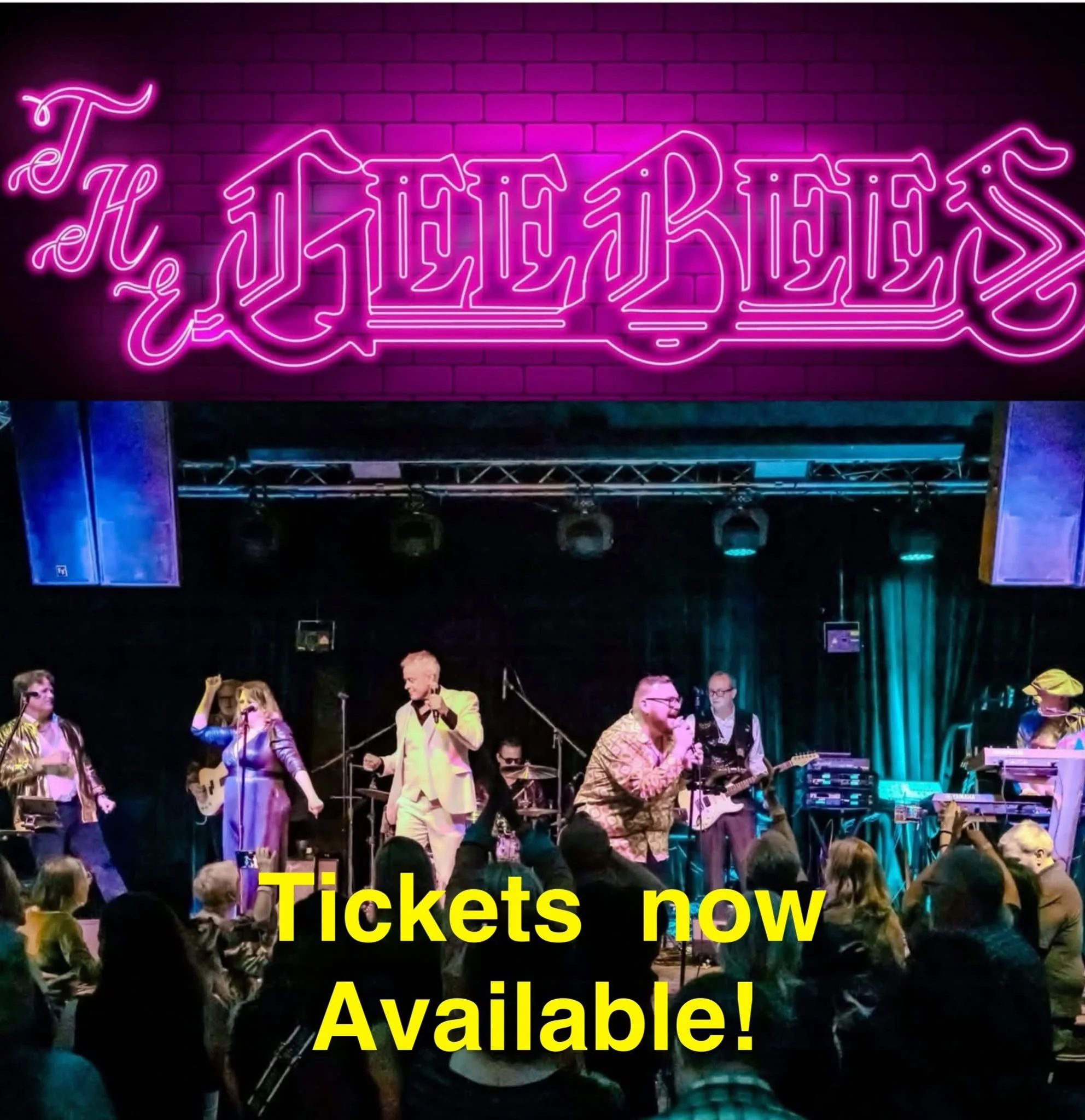 The Gee Bees Annual Romp in The Forest