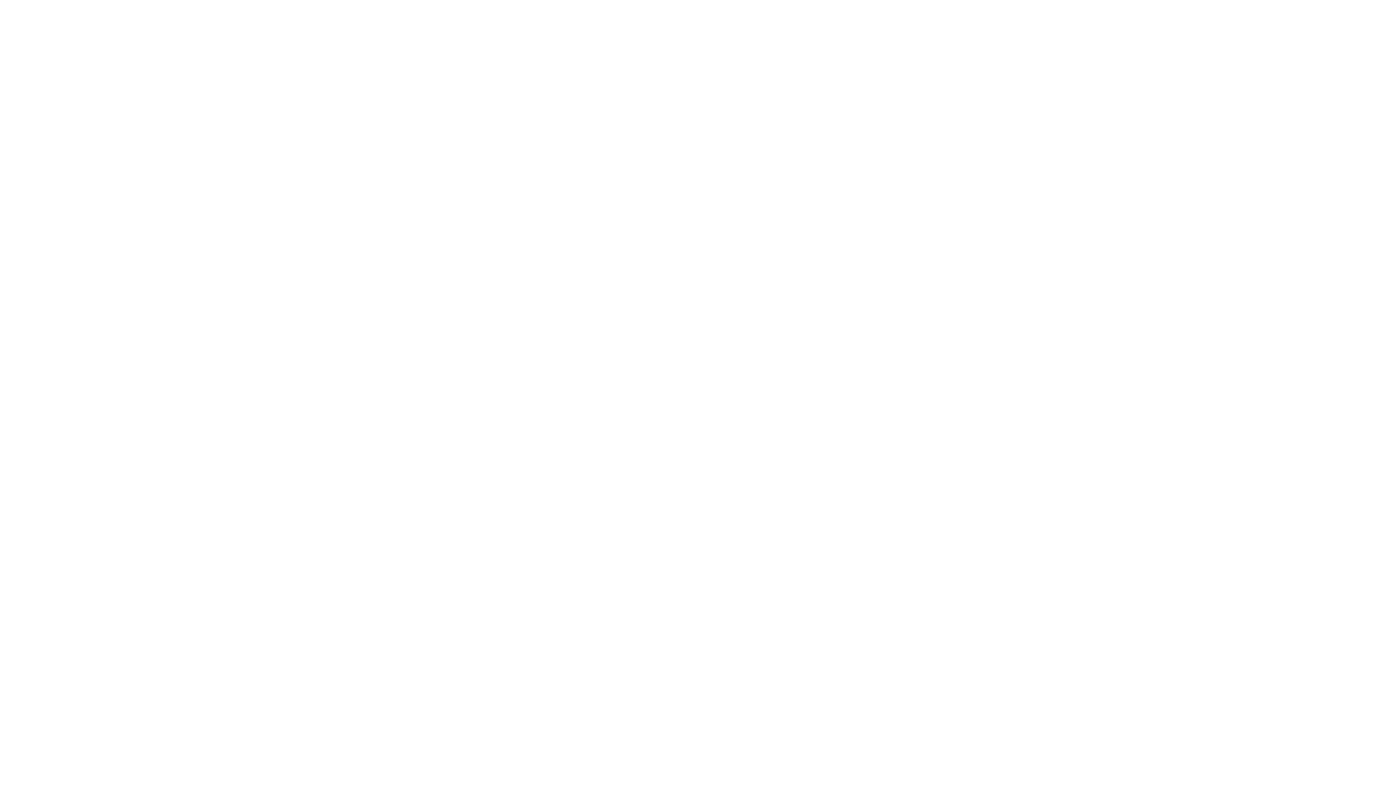 The Enchanted Forest