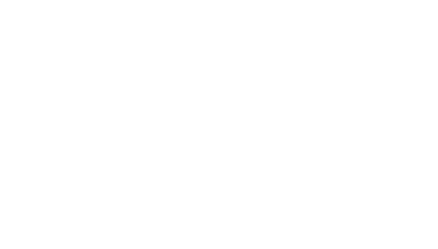 The Enchanted Forest