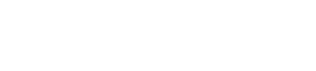 a Ninety-Nine 