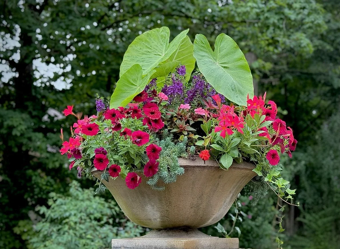 pots 5.jpg