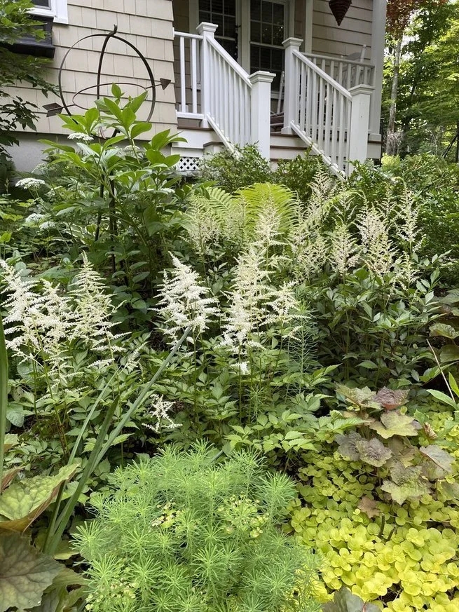 garden front.jpg