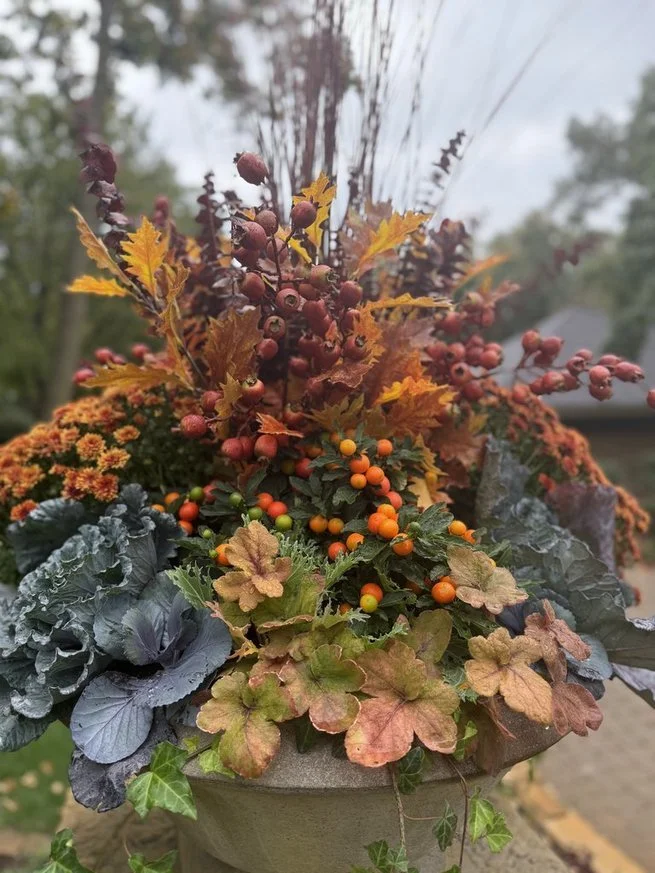 fall.jpg