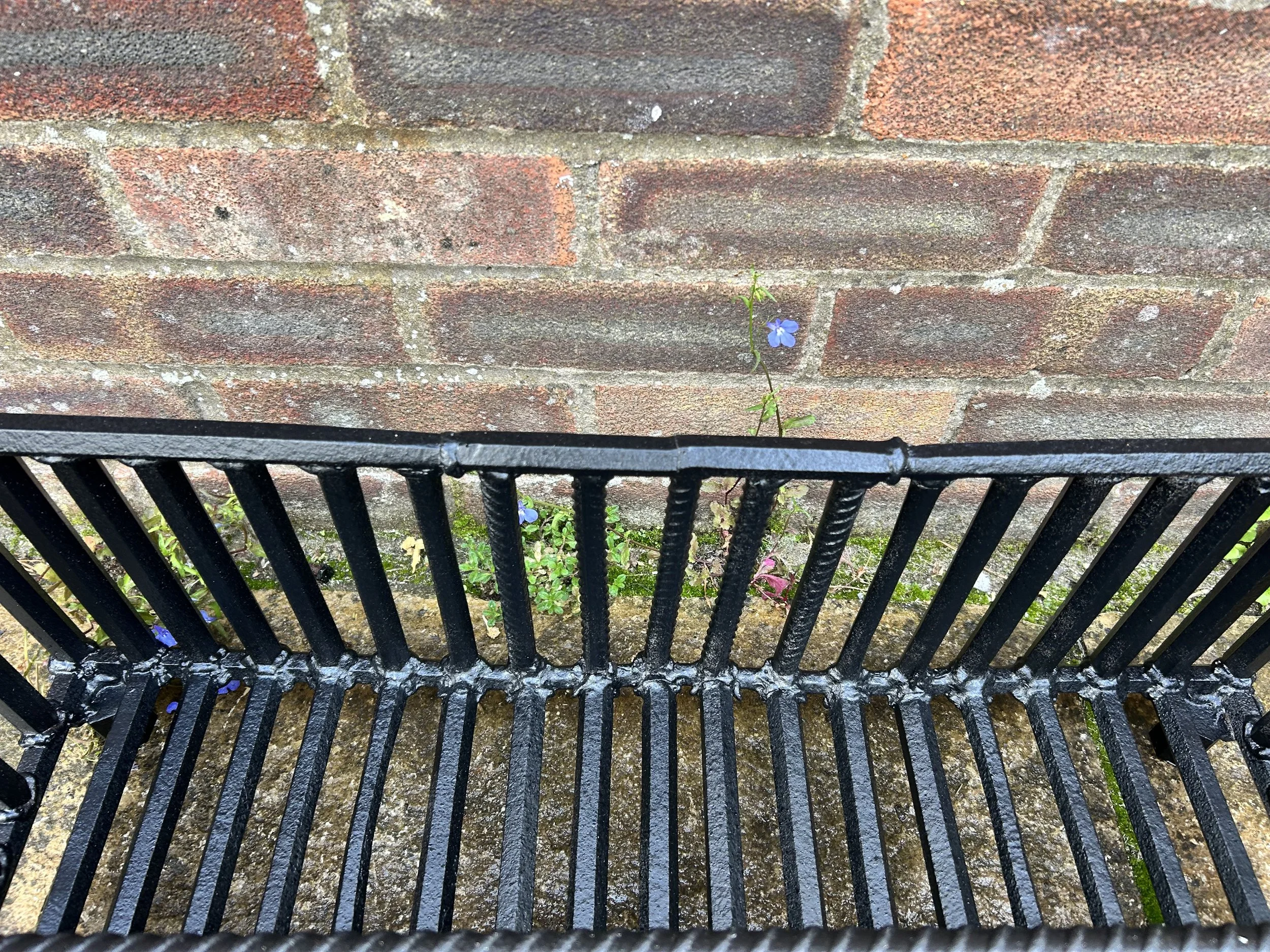IMG_7180.jpeg