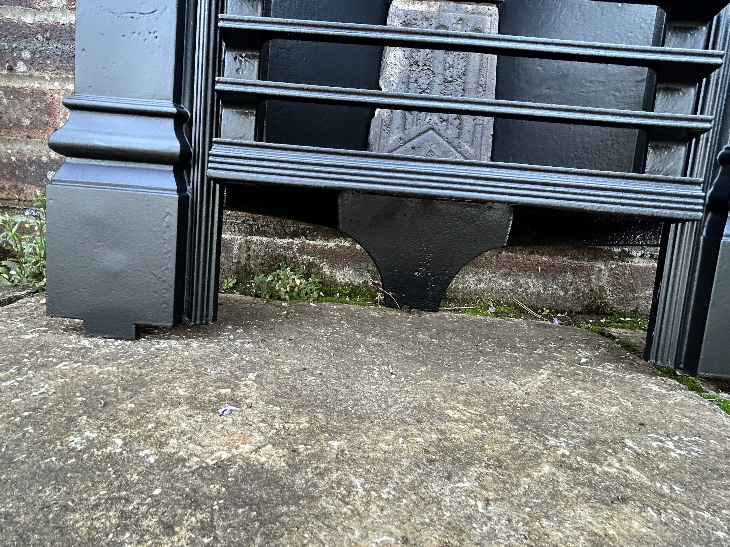 IMG_6753.jpeg