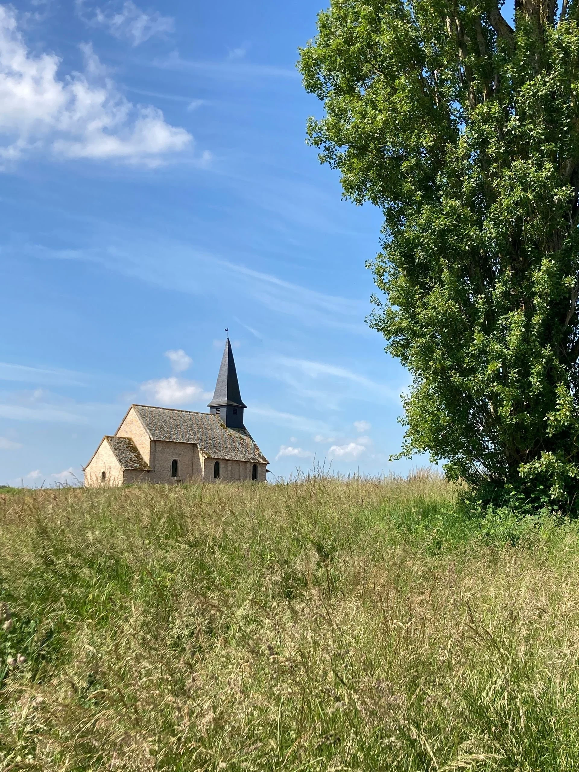 A church with a steeple situated in a grassy field with tall green trees on the right, under a clear blue sky with some white clouds.