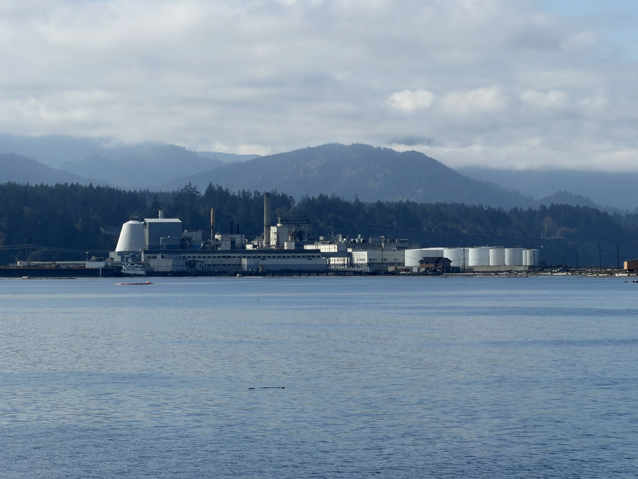 Candelaria Industries Announces Interest in Former McKinley Mill Property