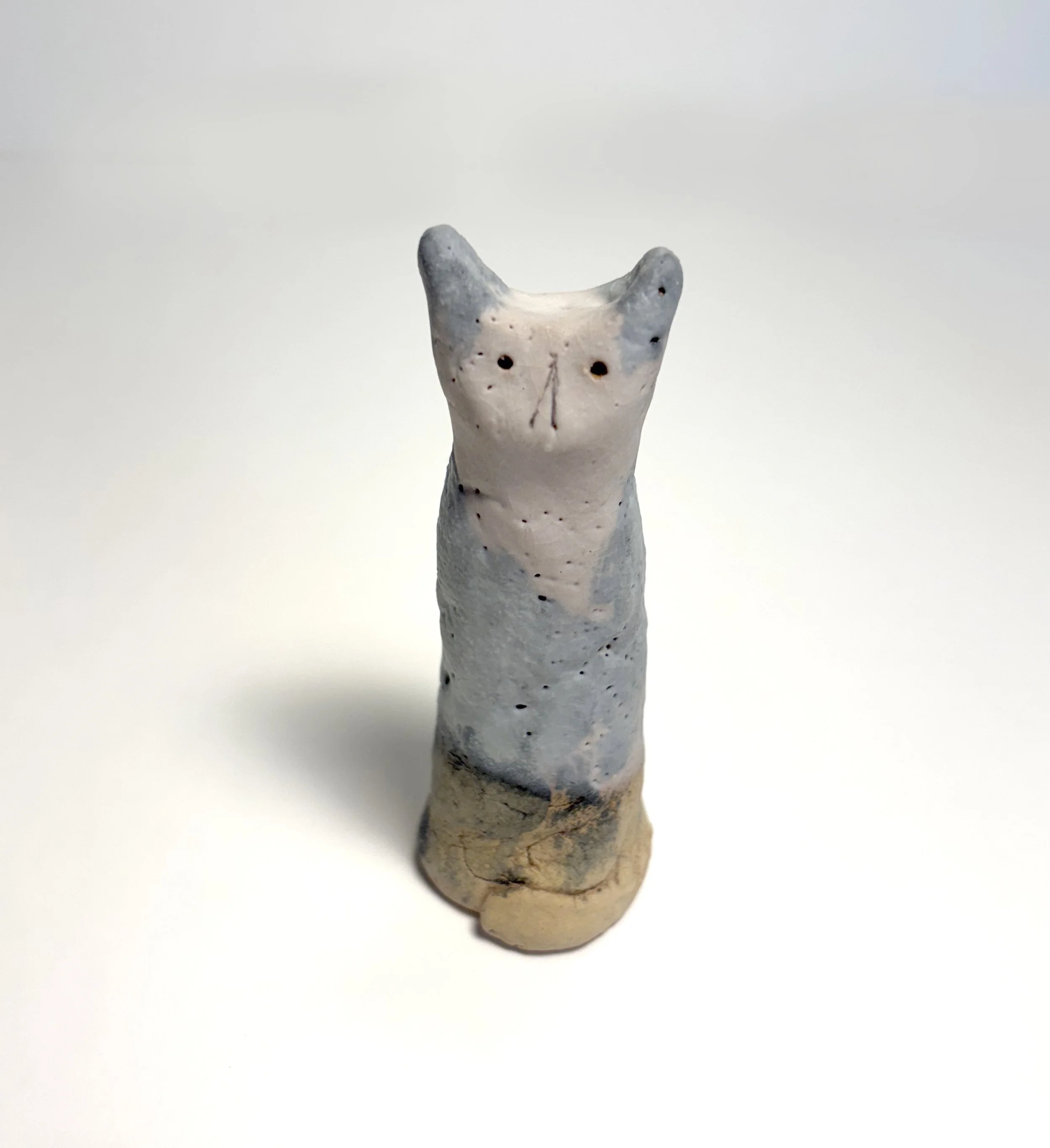 cute japanese cat.jpg