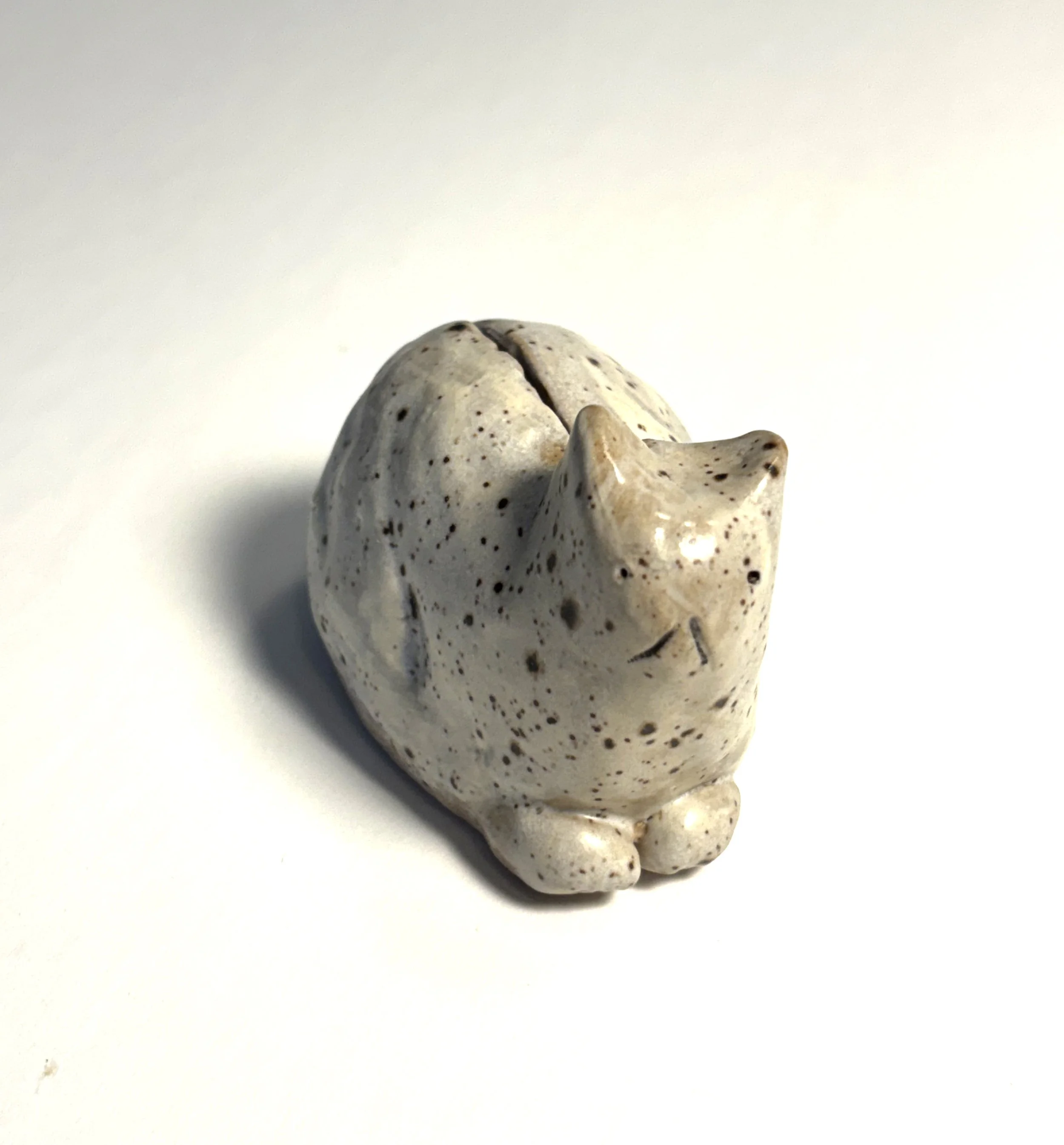 seated speckled.jpg