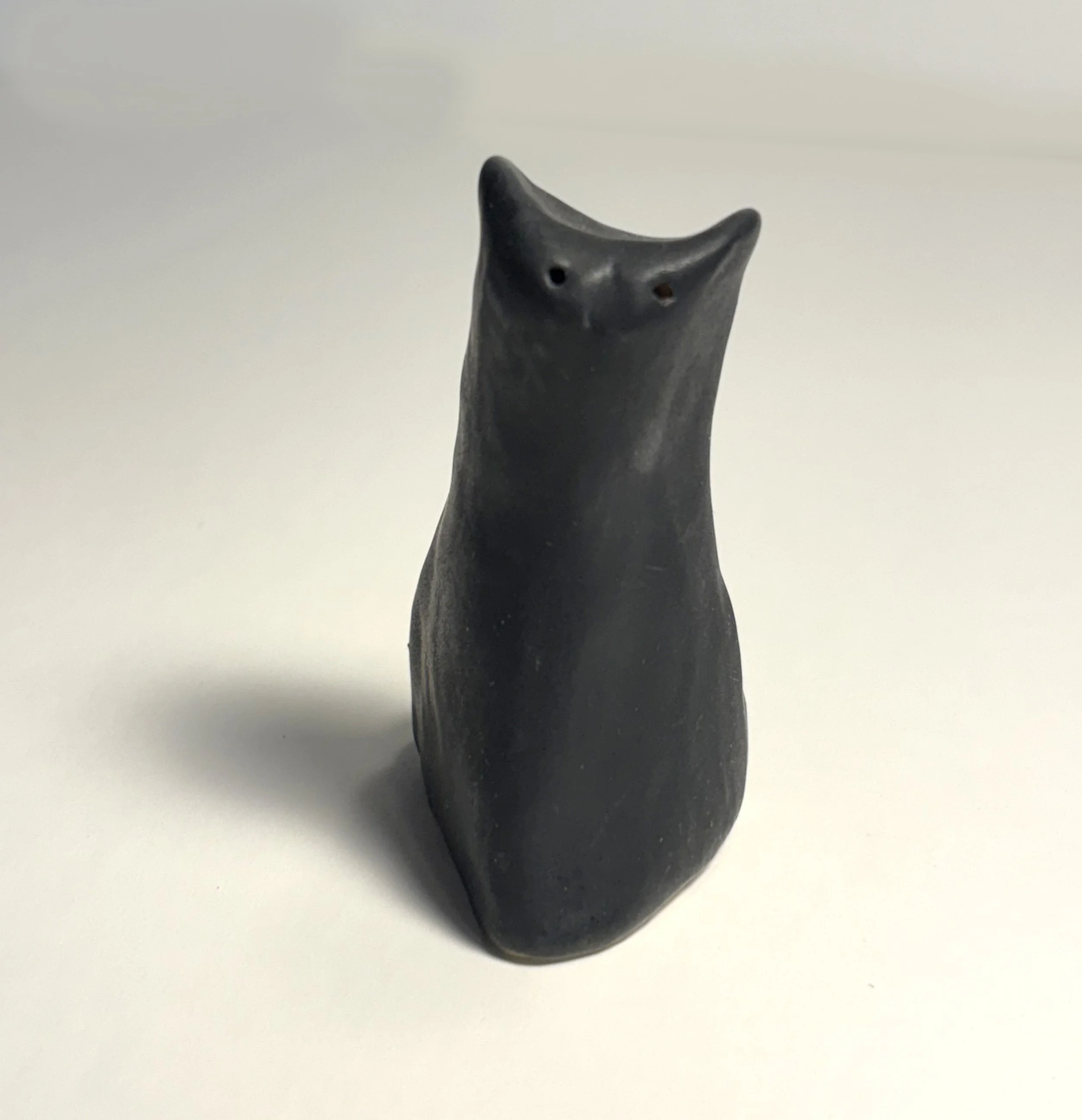 solid black cat.jpg