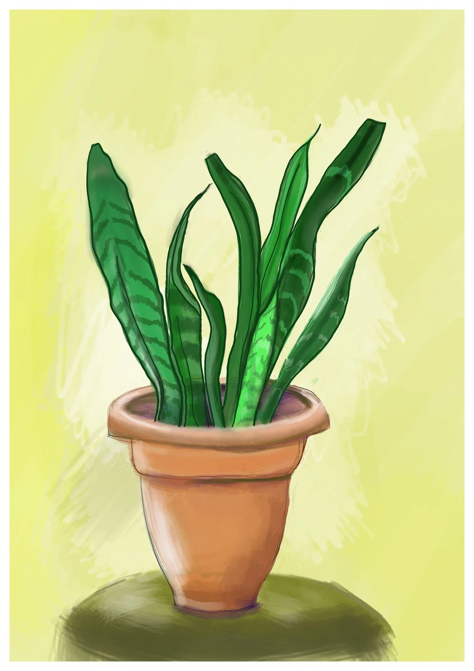 plant-Yg2qergGPlSBRykx.jpg