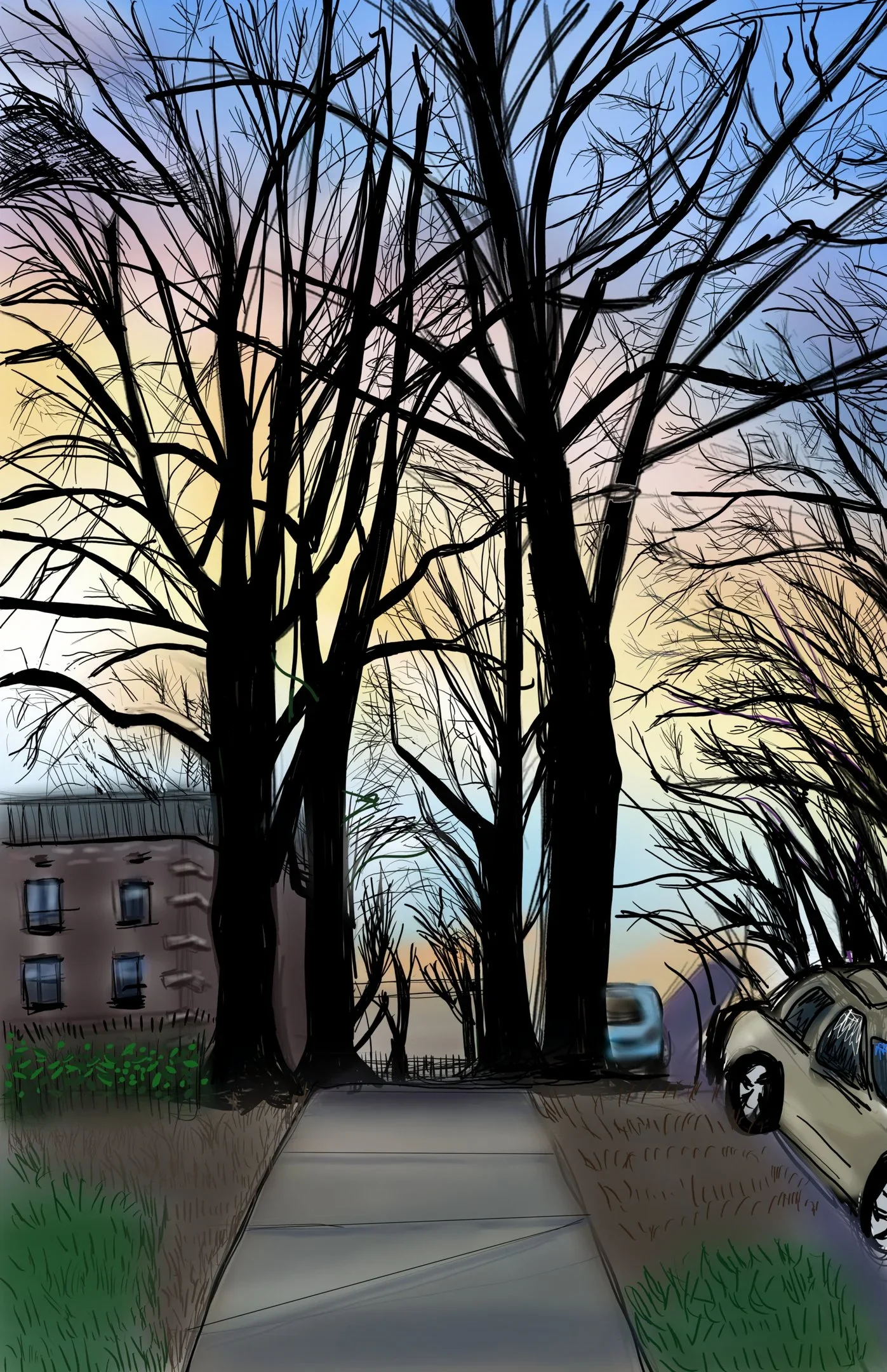 trees_123-YD0BkeOjOjixpkq3.webp