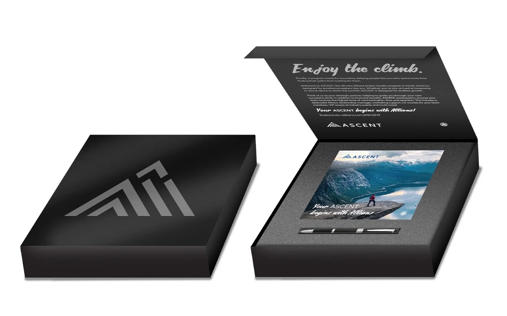 AllianzBox1.jpg