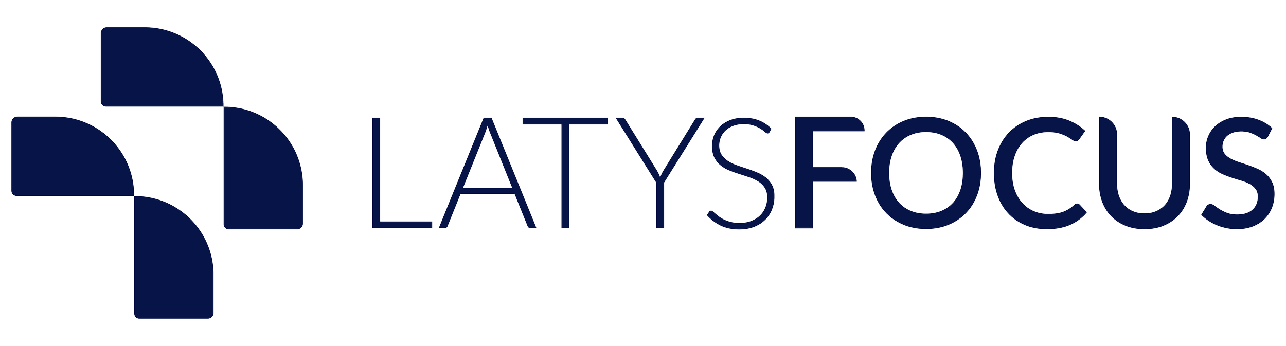 LAYFOSIS logo with stylized plus sign, dark blue and black text