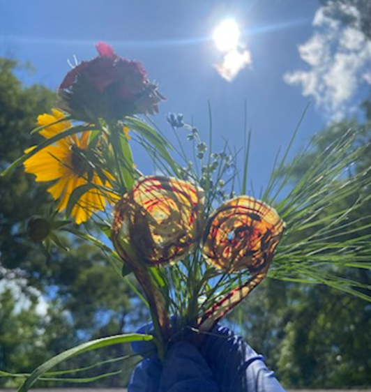 A preserved umbilical cord keepsake in the shape of a heart held by a gloved hand along with some wildflowers.