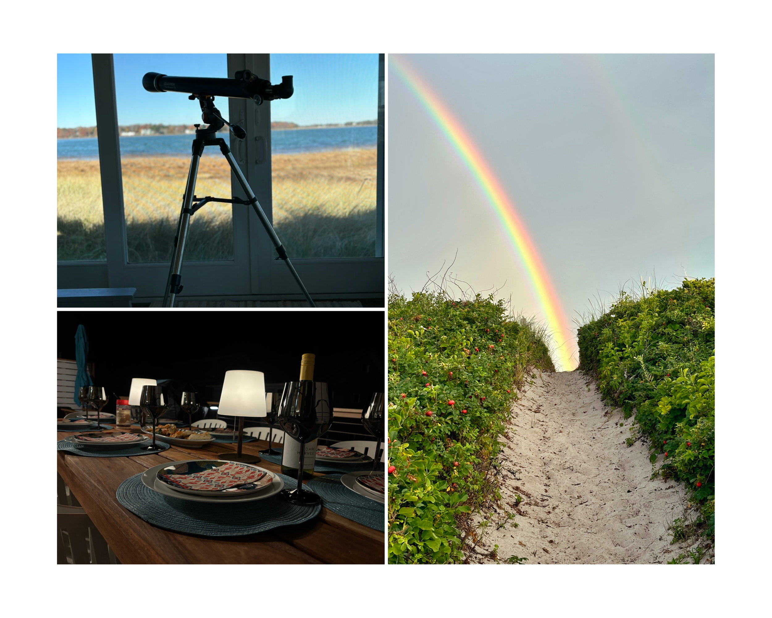 Wonderland vs. The Apex: Which Property Is Right for Your Trip?