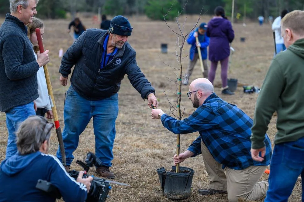 Commissioner David O’Keefe hands a tool to someone while planting a new tree at a Leon County greenway on Buck Lake Road.