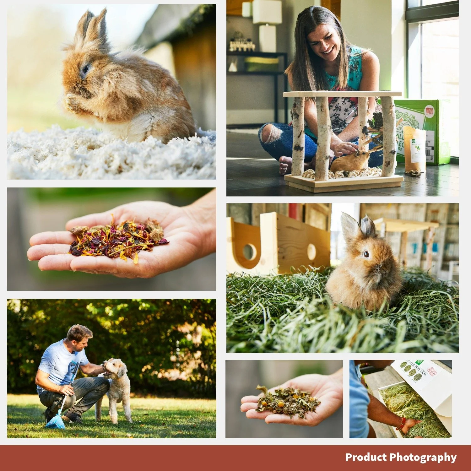 Union Creative Work Samples-16.jpeg