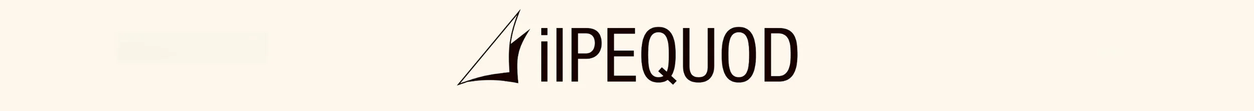 Logo con una vela stilizzata e la scritta 'IPEQUOD'.