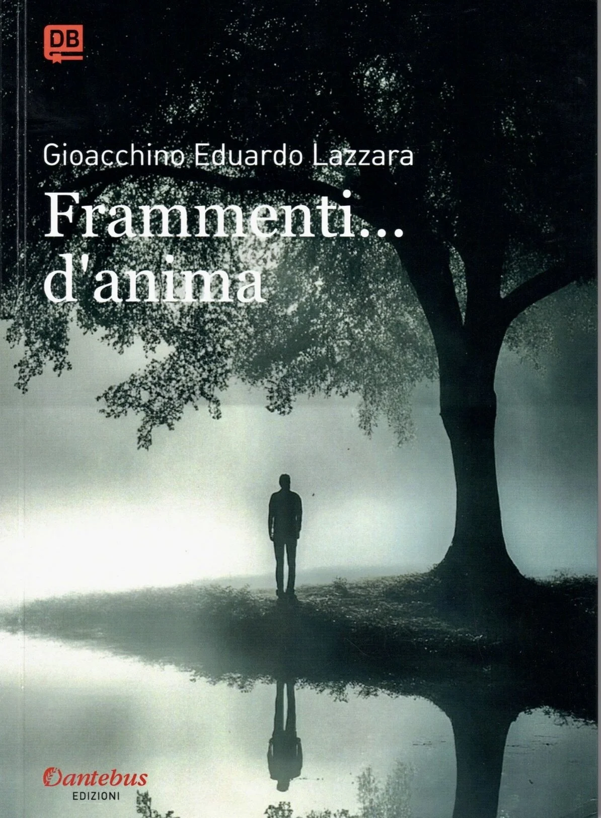 Copertina di un libro con un'immagine di un albero e una persona in piedi vicino all'albero, riflessa in una pozza d'acqua, con il titolo "Frammenti... d'anima" e l'autore Gioacchino Eduardo Lazzara.