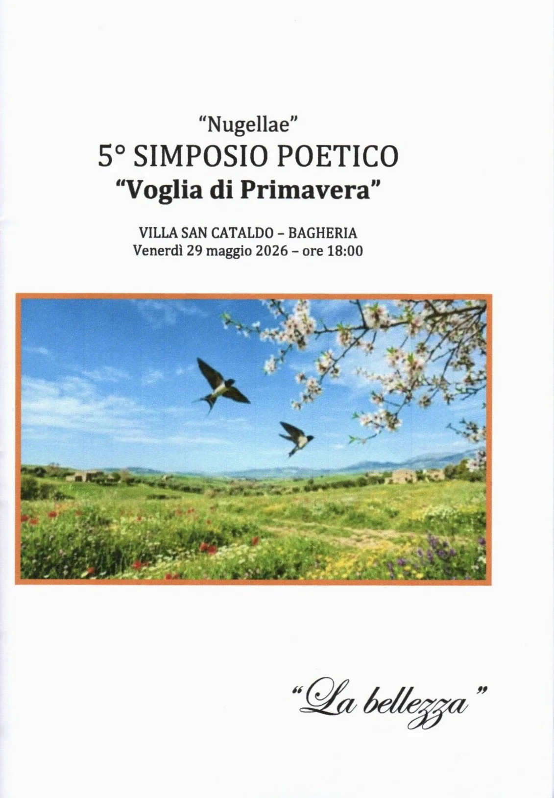 Un volo di due rondini vola sopra un prato coltivato con fiori colorati, con rami di ciliegio in fiore sullo sfondo e un cielo azzurro con alcune nuvole.