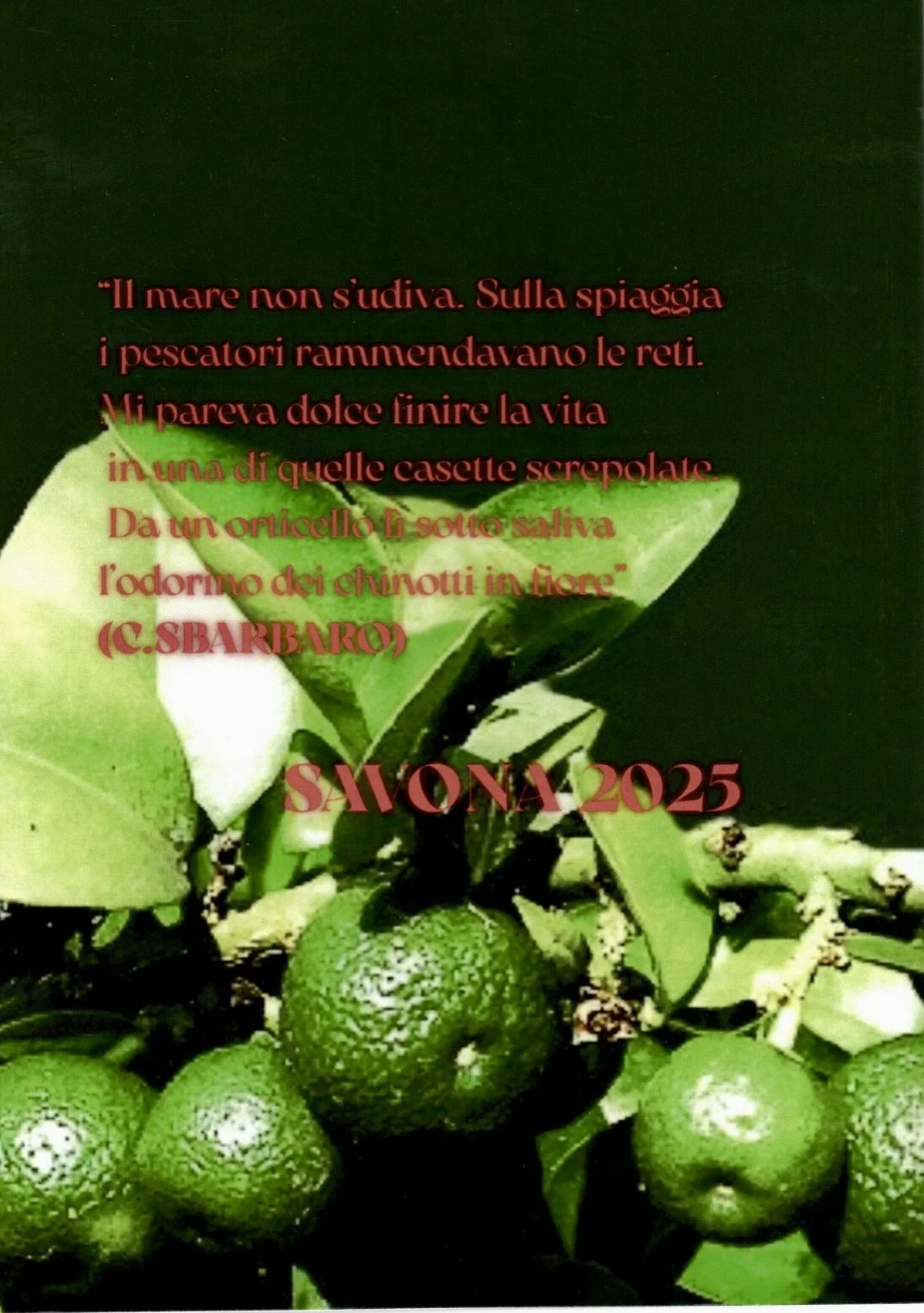 Un ramo di limoni verdi con foglie davanti a uno sfondo nero, con testo in italiano sovrapposto.