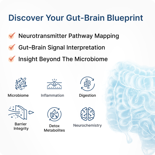 Gut Health &amp; Digestive Wellness