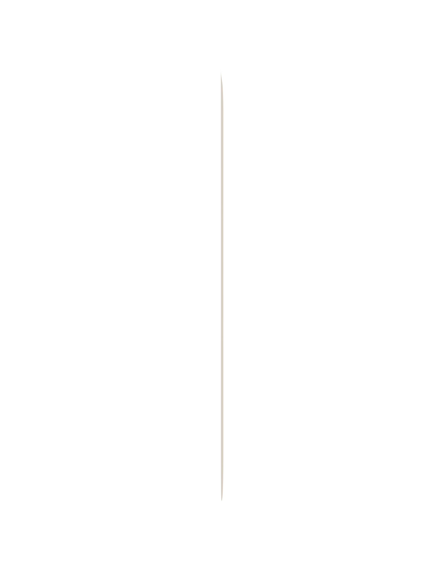 A vertical divider line.