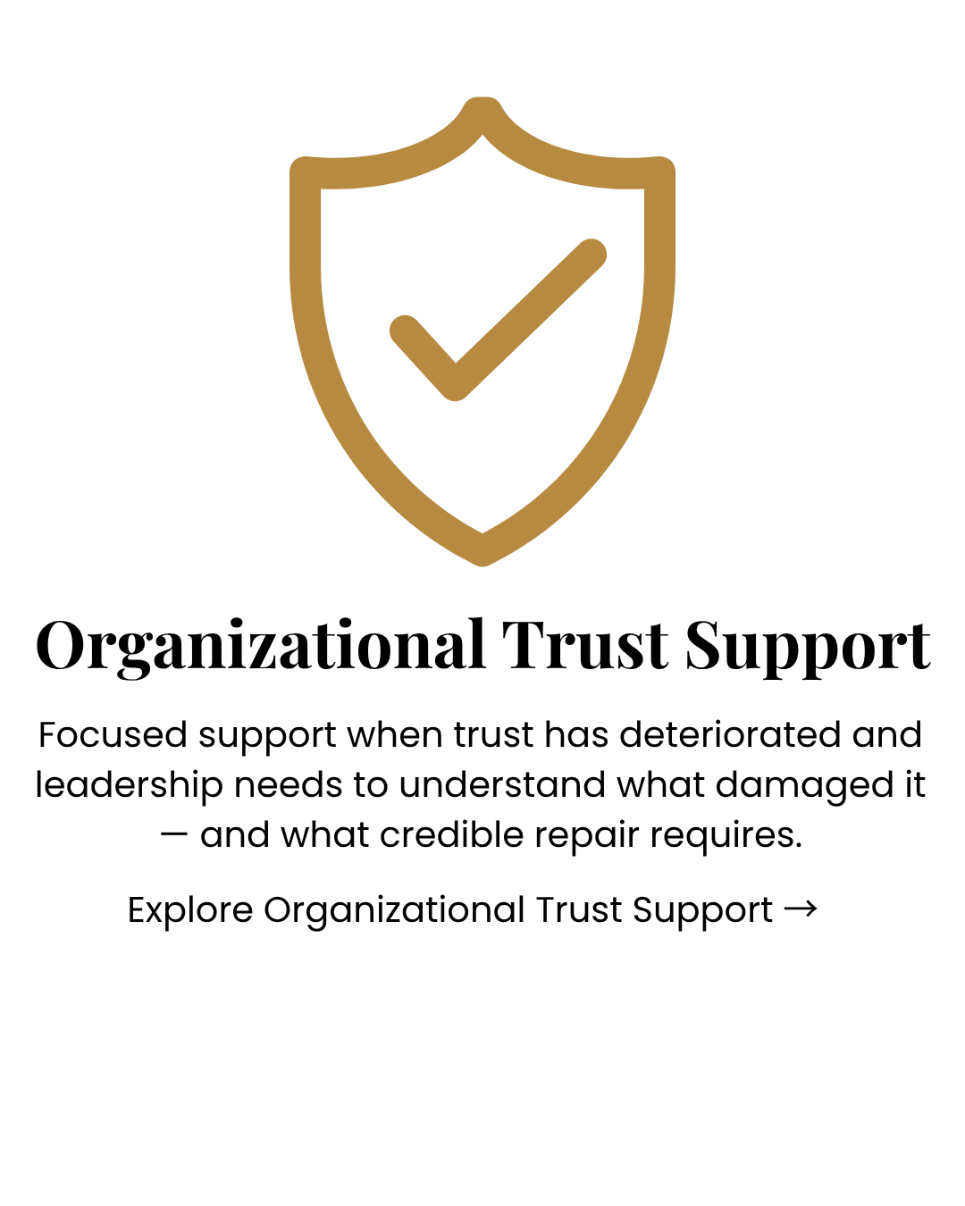 Shield icon representing executive people leadership