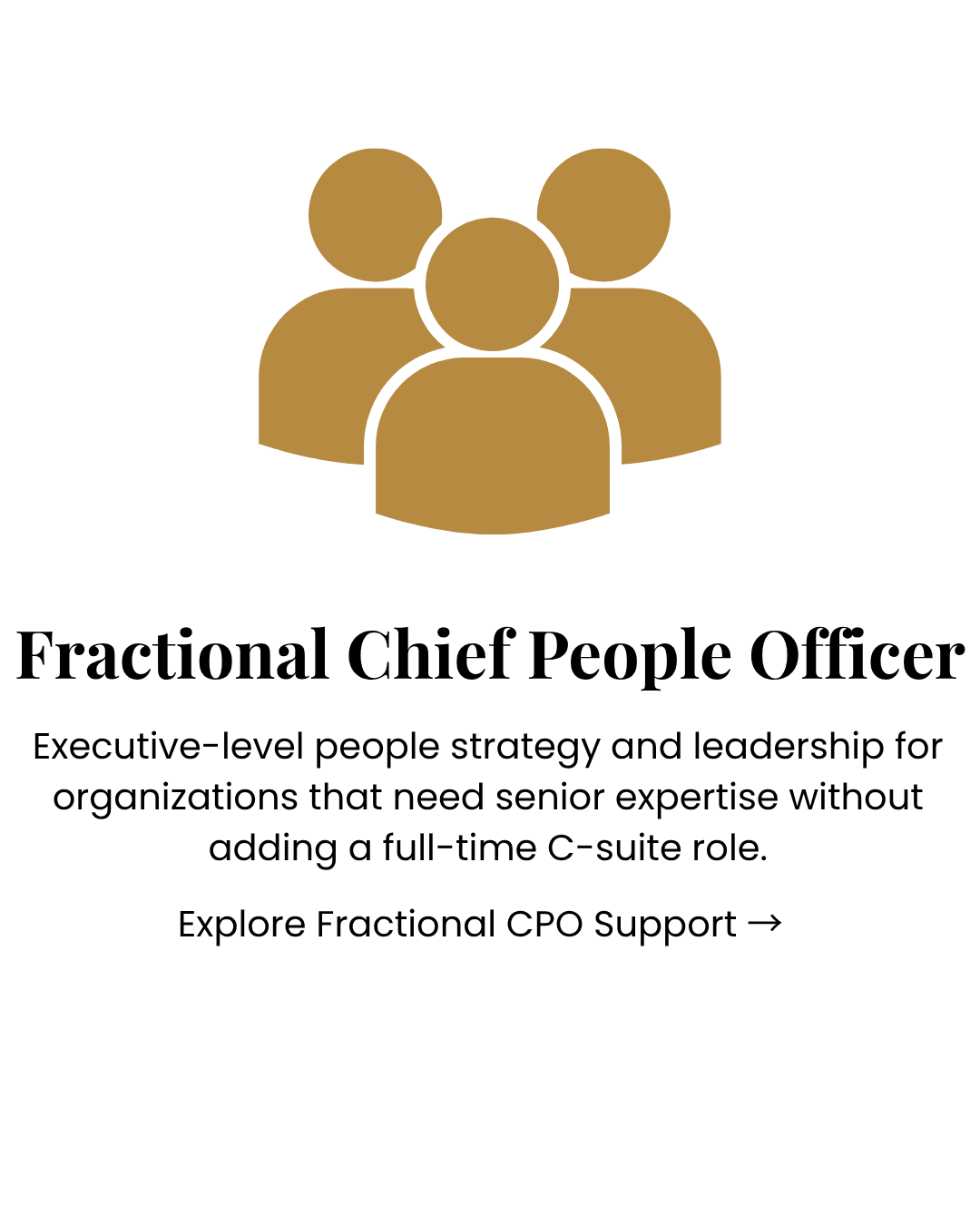 Executive icon representing private executive advisory
