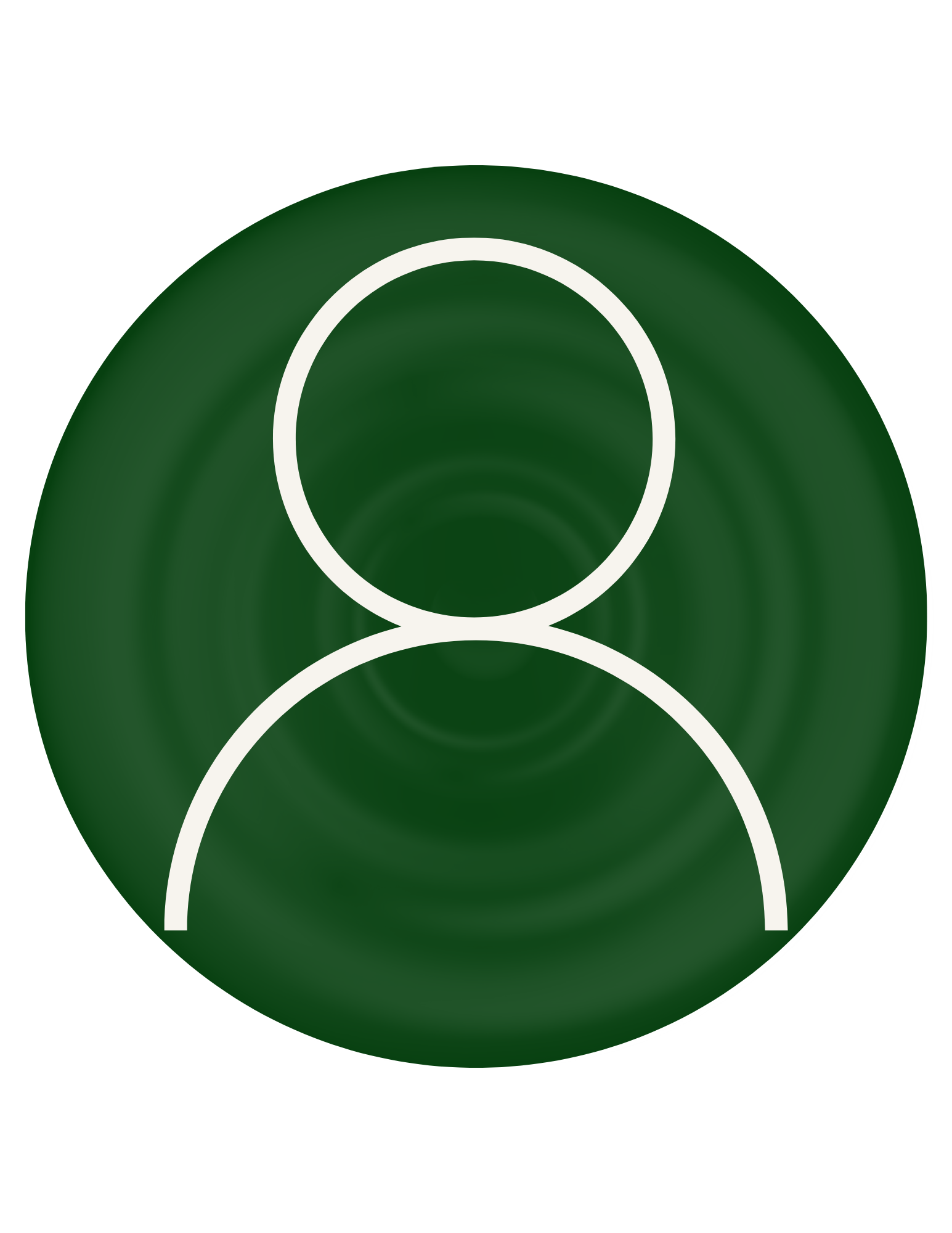 Top view of a green curling slide with a white outline.