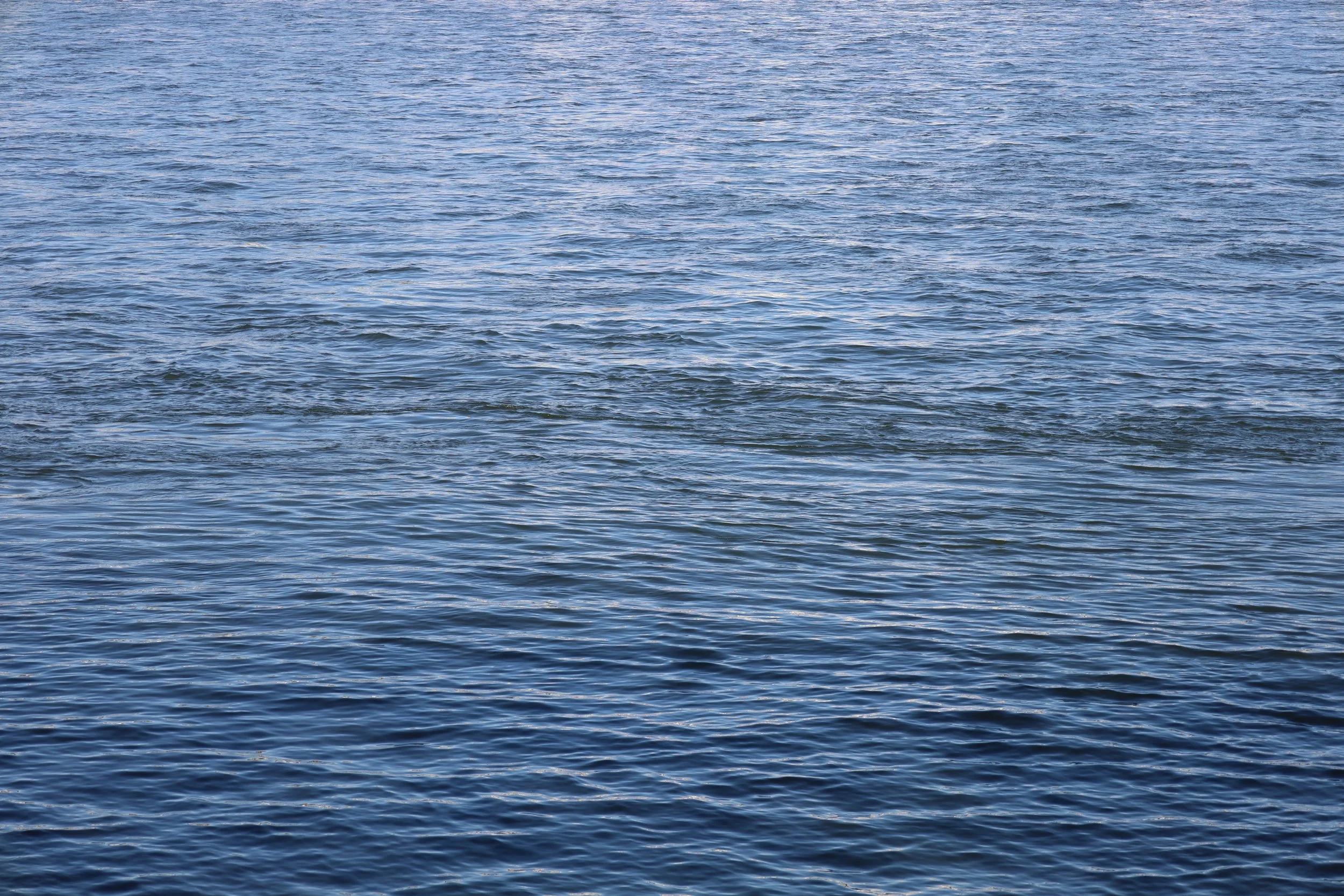 Photo of an expanse of water with small ripples on its surface.