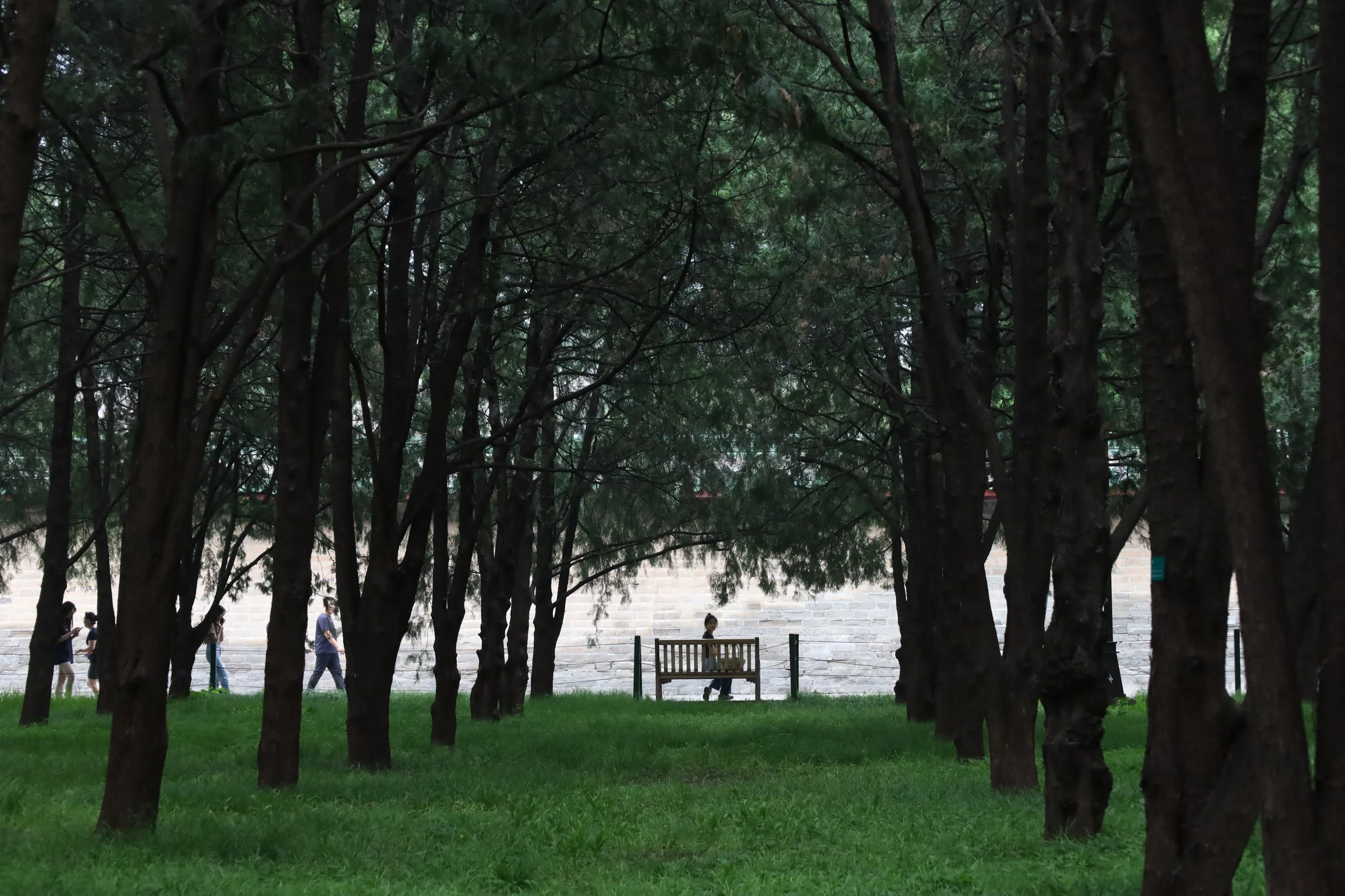 A park scene with large trees and green grass in the foreground. In the background, there are people walking and a person sitting on a bench. The wall and some structures are visible at the back of the park.