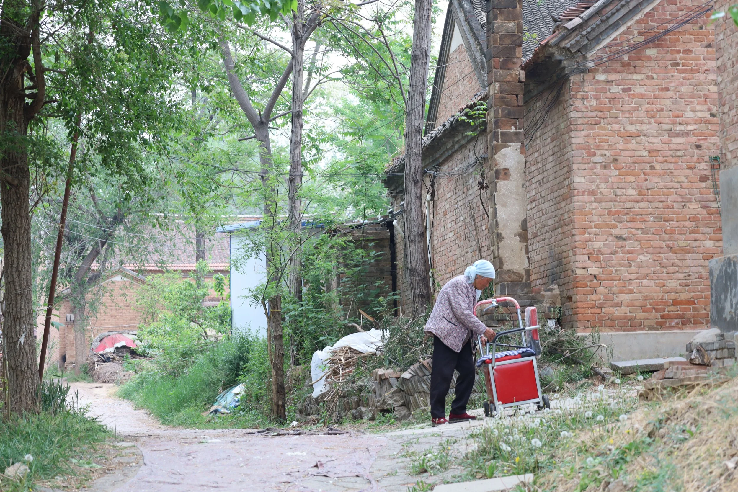 An elderly woman with a headscarf stands outdoors near a brick house, organizing or preparing a walker with a red basket on a dirt path surrounded by green trees and foliage.