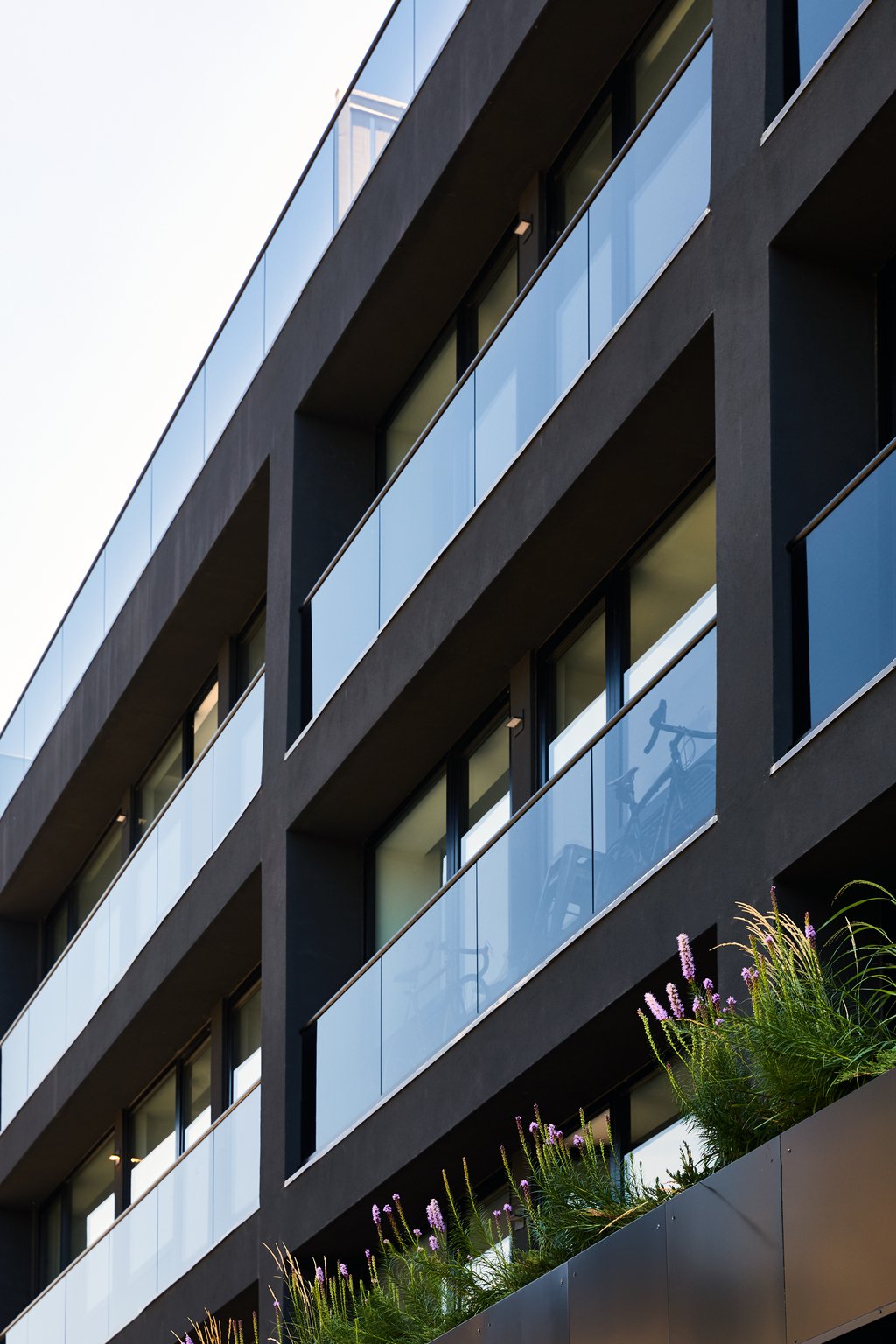 Modern apartment building with glass balconies and some purple flowers in planters at the bottom